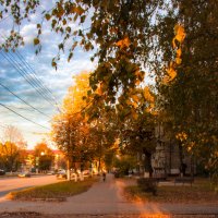 Осень на улице Брянской Пролетарской Дивизии :: Sergei Vikulov