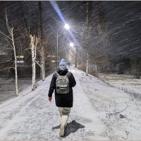 Про ноябрь, утро и первый снег. :: Aquarius - Сергей