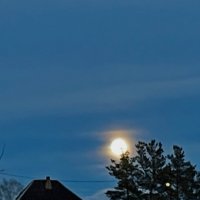 Полнллуние :: Ален Янн 