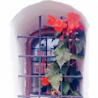 *** :: Сергей Кочнев