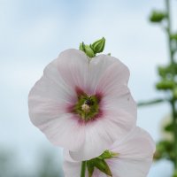 *** :: Виктор Иванович Чернюк