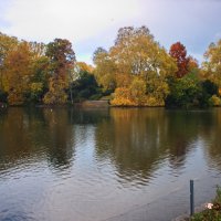 *** :: Witalij Löwin *** :: Witalij Löwin