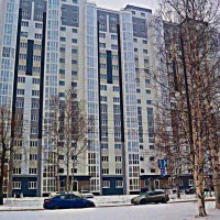 Ноябрь...Высотка по улице Нефтяников! :: Владимир 