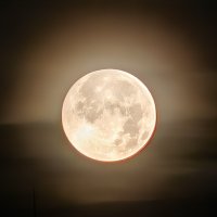 Луна :: <<< Наташа >>>