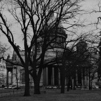 Черный пес Петербург :: Александр 