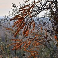 - :: Владимир Мигонькин