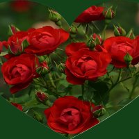 Танюшу Машошину с Днём рождения! :: Татьяна Помогалова