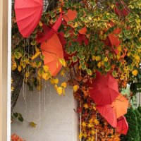 Осенний мотив :: Игорь Сикорский