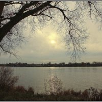 Прищел ноябрь... :: Aleksandr Gal