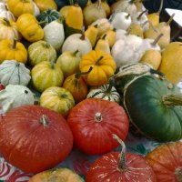 *** :: Валентина Береснева