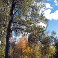 *** :: Валентина Береснева