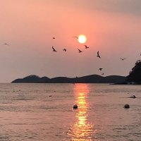 Закаты и восходы :: Елена Семигина