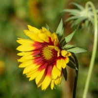 Греет душу эта красота, как последний штрих осенний... :: Татьяна Смоляниченко