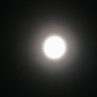 Полнолуние :: Светлана 