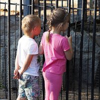 дети наше все :: Олег Лукьянов