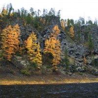 Краски осени :: Галина Ильясова Краски осени :: Галина Ильясова