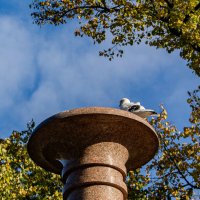 Вот такая поилочка! :: Ирина Соловьёва