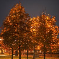 *** :: Сергей Григорьев