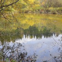 Отражение золотой осени :: Нина северянка