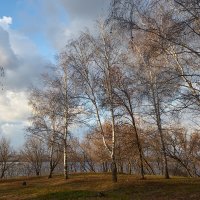 В парке над Волгой :: Олег Манаенков