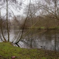 *** :: Николай Гирш