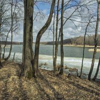 Лесное озеро . :: Александр Иванович Шитов