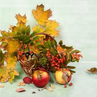 Осенний натюрморт :: Светлана Ищенко