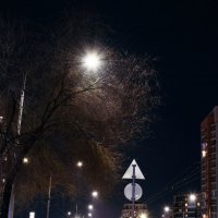 Вечер :: Михаил Соколов