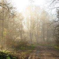 Дорога в туман :: Андрей Снегерёв