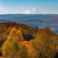 Кисловодский парк :: Фёдор. Лашков