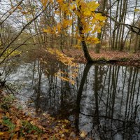 Осенью... :: Николай Гирш Осенью... :: Николай Гирш