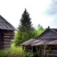 Северная деревня Уйта. :: Игорь Корф