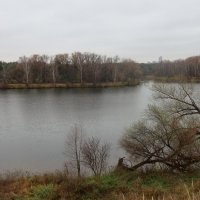 Москва-река :: Дмитрий И_