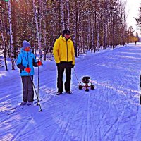 Ой, там зайка проскакал! :: Владимир 