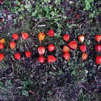 Осень :: Людмила Смородинская Осень :: Людмила Смородинская