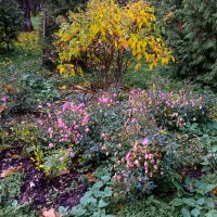 *** :: Валерий Пославский *** :: Валерий Пославский