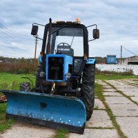 Московская область. Серпухов. Ферма «Русский страус». :: Наташа *****