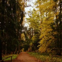По тропинкам осени :: Nataly St. 