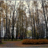 Осень пришла в парк.. :: Aleksandr Gal Осень пришла в парк.. :: Aleksandr Gal