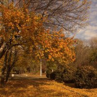 Золотая осень :: Оксана Новик 