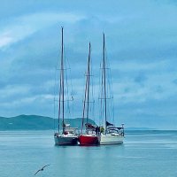 Море :: Елена Семигина