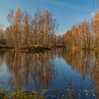 Осень не сдаётся 4 :: Андрей Дворников