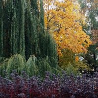 *** :: Валентина Береснева