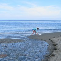 4. Рыбка выпрыгнула на берег.. :: ИРЭН@ .