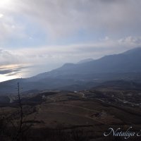 Природа Крыма :: Amazing Cosmea