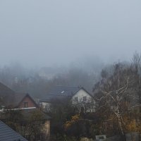 Ноябрь,туман рассеивается. :: Петр Беляков