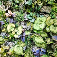 Природа :: Наталья 