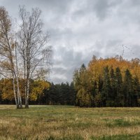 Осень. Утро :: Владимир Колесников