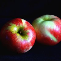 Яблочки ... :: Нэлли Обертынская