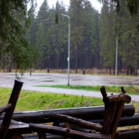 В дождливый день :: Светлана Мишенёва